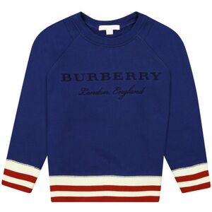 Burberry Authentic Big Boy Stripe Trim Logo Sweatshirt. 
Sz 12Y